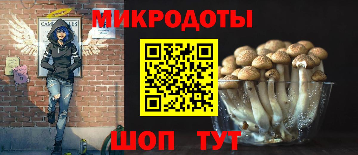 Галлюциногенные грибы Psilocybine cubensis Сорочинск