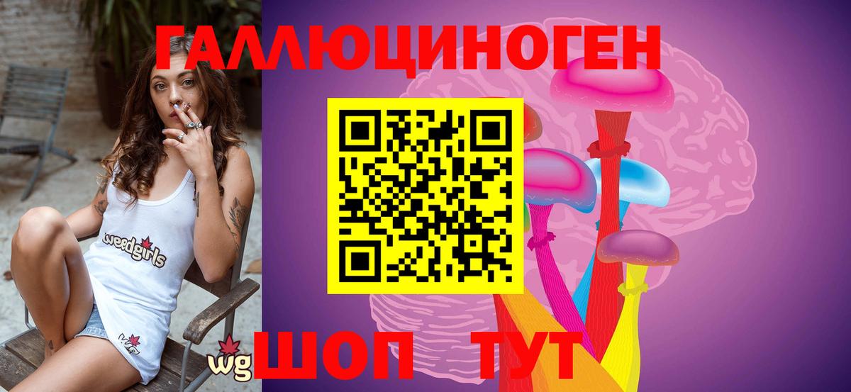 где можно купить   Вход с VPN  Сорочинск  Псилоцибиновые грибы Psilocybine cubensis 